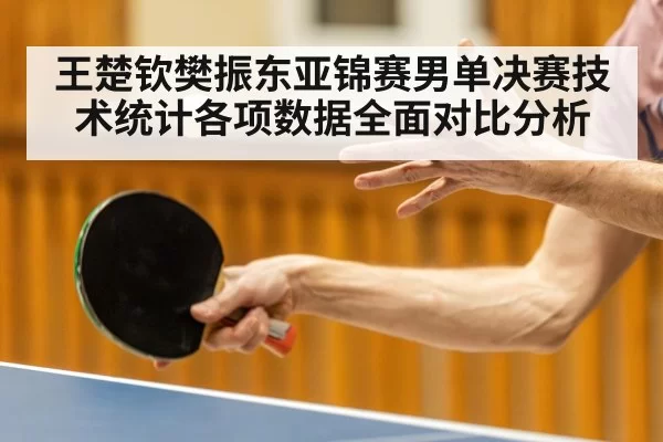 王楚钦樊振东亚锦赛男单决赛技术统计各项数据全面对比分析
